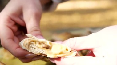 Lavaşla peyniri ayır. Lavaş ekmeğini kırarken elleri esnetiyordu. Kadın ellerine yakın çekim. Yüksek kalite 4k görüntü