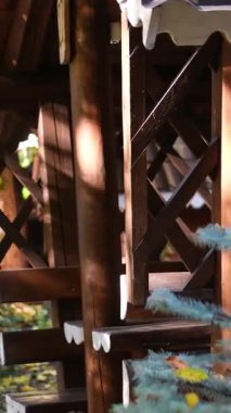 Serene Green Environments ile çevrili rahat bir verandası olan büyüleyici ahşap kulübe. Yüksek kalite 4k görüntü