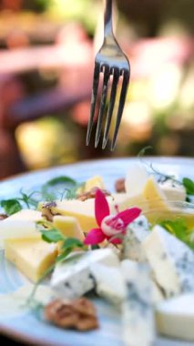 Peynir tabağı seti peynir tabağı bayram hediyesi. Akşam yemeği için başlangıç tabağı ve şarap. İtalyan aperatifleri ya da gurme yemeklerle hazırlanmış antipasto. Büfe partisi. Yüksek kalite 4k görüntü