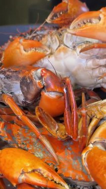 Istakoz, kral yengeci, buzlu midye, karışık salata, ve restoran masasında kremalı balık çorbası, gurme yemek deneyimi, kıyı mutfağı, canlı renkler. Yüksek kalite 4k görüntü