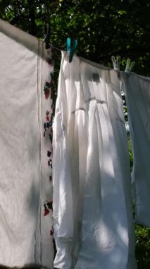 Çarşaflar, masa örtüleri ve gömlekler de dahil olmak üzere beyaz çamaşırlar köy bahçesinde bir sıraya asılır. Güneş ışığı, rüzgarın hafifçe savurduğu kumaşları aydınlatır. Huzurlu kırsal atmosfer..