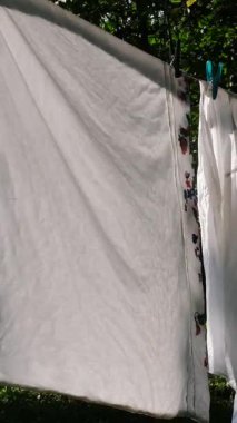 Yazın kırsal kesimde çamaşır ipine Temiz Yatak Çarşafları Asan Güzel Ev Kadınları. Yüksek kalite 4k görüntü