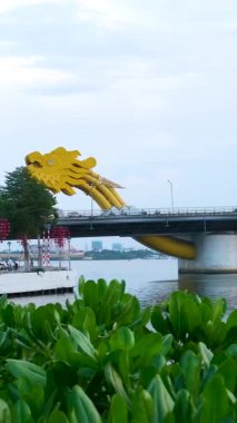 Da Nang Vietnam 'daki ünlü Ejderha Köprüsü' nün Han Nehri 'nin güç ve refah sembolü olan popüler turistik bölge üzerindeki etkileyici altın ejderha yapısını görüntülediği birkaç günlük videolar..