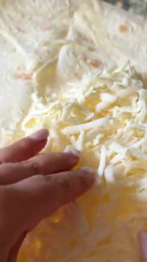 Rendelenmiş peynirli lavaş, mozzarella peyniri, gouda ve soya peyniri. Lezzetli bir kahvaltı, öğle yemeği, akşam yemeği hazırlıyor. Yakından, makro, önden.. 