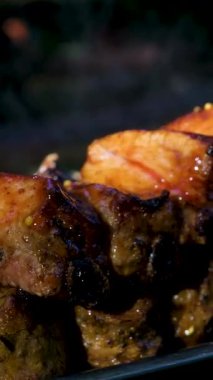 Izgara Lezzetli Barbekü. Kömür Souvlaki 'de Piknik yaparken Metal Biftek Şişi. Street Food Grill 'de. Izgarada marine edilmiş Shashlik Souvlaki. Izgara barbekü eti ateşte. Kızartılmış Et Bbq.