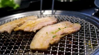 Arka bahçede bir yaz toplantısında kızgın kömürlerin üzerinde marine edilmiş et kızartıyorum. Yüksek kalite 4k görüntü