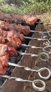 Izgarada açık ateşte kızarmış et. Shashlik, geleneksel Gürcü yemekleri. Brezilya 'da kızartılan domuz etine yakın çekim. Kızarmış et videosu, arka bahçede barbekü partisi..