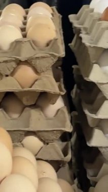 Karton kutuda dönen kahverengi ve beyaz yumurtalar. Tavuk yumurtalarına yakın çekim. Konteynırda tavuk yumurtası. Sürgülü görüntüyü yakınlaştır. Organik yiyecekler. Sağlıklı beslenme. Sinematik çekim. 4K, UHD. Yüksek kalite 4k görüntü