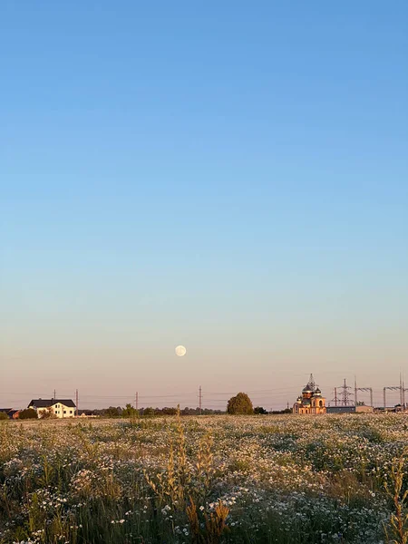 Sihirli manzara - batı gökyüzü, gökyüzünde erken ay, papatya tarlası