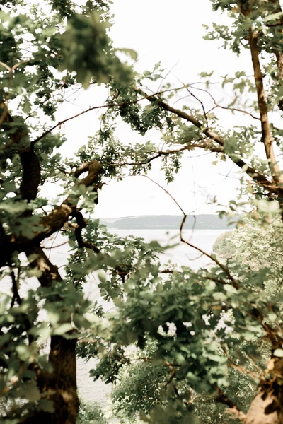 Fotoğraf Ukrayna 'nın nehir manzaralarını, yeşil tepeleri, mavi gökyüzünü gösteriyor.