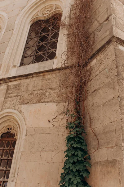Fotoğrafta antik bir kalenin duvarı var.