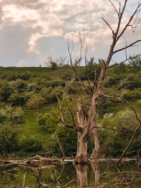 Fotoğraf, Ukrayna 'nın eşsiz, büyülü ve inanılmaz doğasını, yeşil manzaraları, tepeleri ve nehirleri tasvir ediyor..