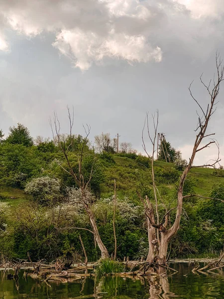 Fotoğraf, Ukrayna 'nın eşsiz, büyülü ve inanılmaz doğasını, yeşil manzaraları, tepeleri ve nehirleri tasvir ediyor..