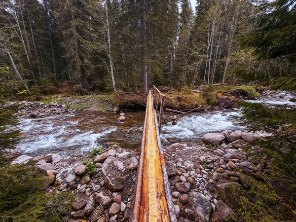 Fotoğraf, Ukrayna 'nın eşsiz, büyülü ve inanılmaz doğasını, yeşil manzaraları, çam ağaçları ve nehirleri olan tepeleri tasvir ediyor..