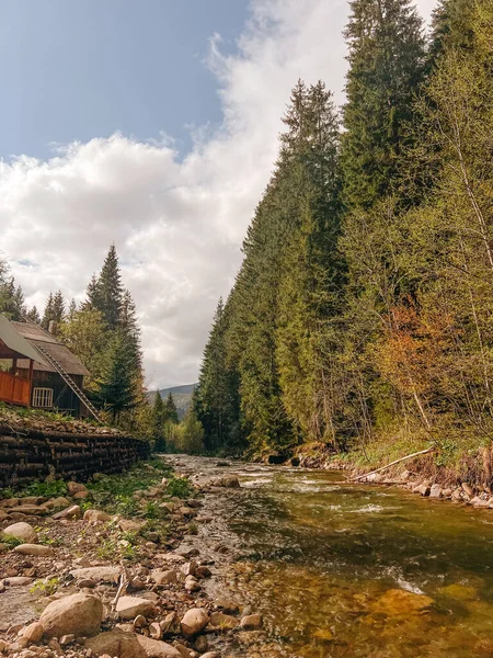 Fotoğraf, Ukrayna 'nın eşsiz, büyülü ve inanılmaz doğasını, yeşil manzaraları, tepeleri ve nehirleri tasvir ediyor..