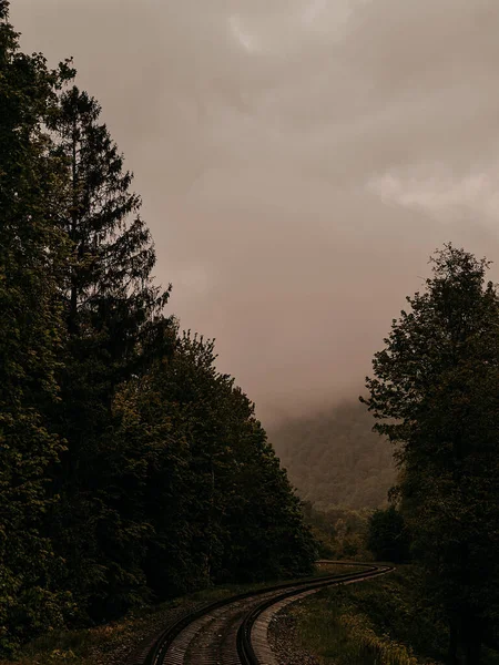 Fotoğraf, Ukrayna 'nın eşsiz, büyülü ve inanılmaz doğasını, yeşil manzaraları, tepeleri ve tren yolunu tasvir ediyor..