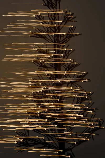 Fotoğraf renkli tatil ışıklarını, ışık soyutlamalarını ve fenerleri gösteriyor.