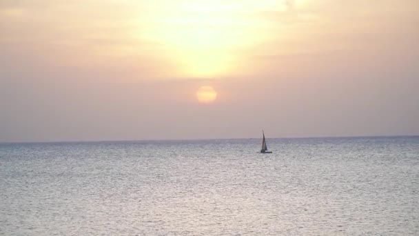 Een zeilboot met een gekleurde vlag drijft in de baai tegen de achtergrond van zonsondergang en vogels vliegen voorbij — Stockvideo