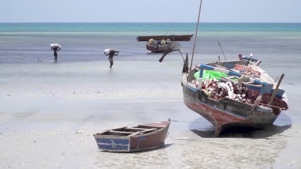 Fiskare med fångst lastas på land — Stockvideo