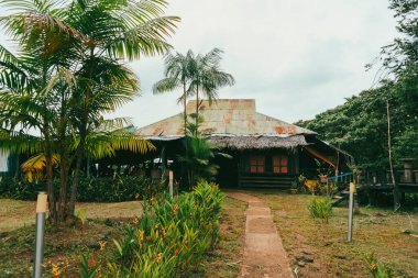 Mitu, Kolombiya 'da ormanın ortasında ahşap bir kulübe..
