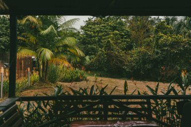 Mitu, Kolombiya 'da ormanın ortasında ahşap bir kulübe..