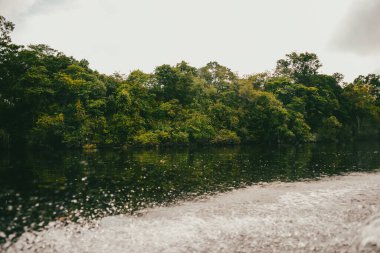 Vaupes Nehri 'nin manzarası ve güzel mangrovlar. Mitu, Kolombiya. 