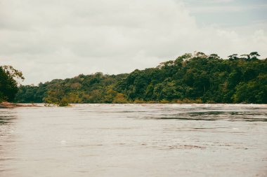 Vaupes Nehri 'nin manzarası ve güzel mangrovlar. Mitu, Kolombiya. 