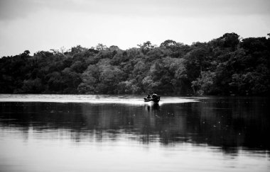 Vaupes Nehri 'nin manzarası ve güzel mangrovlar. Mitu, Kolombiya. 