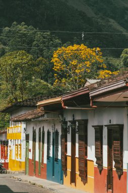 Jardin, Antioquia, Kolombiya. 26 Ekim 2025: Güzel koloni mimarisi ve renkli bahçe.