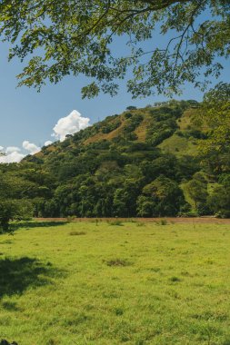 Güzel mavi gökyüzü ve Bolombolo, Antioquia, Kolombiya dağları ile kırsal alan.