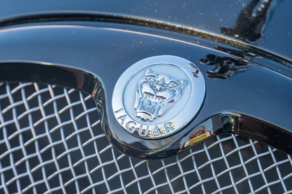 Range Rover ızgarasının yakın plan fotoğrafı, üç boyutlu gümüş bir amblem, kalkan tasarımı ve kanatlı karakter gerçekçi stili, ince deta Kyiv, Ukrayna - 21 Eylül 2025