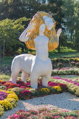 Çiçekler, mor, patika, çakıl, ağaçlar, güneş ışığı, gündüz Kyiv, Ukrayna - 20 Eylül 2025