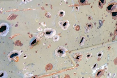 Dairesel delikli paslı metal nesnenin yakın görüntüsü, muhtemelen mermilerden doğal, düzensiz aydınlatma gölgeleri gerçekçi, bağlamsal ayrıntı yok