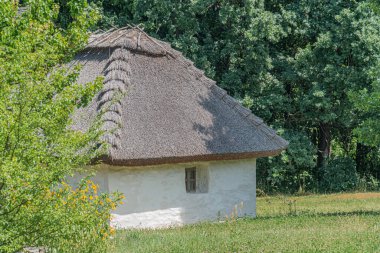 Kaya ya da sazdan çatılı benzer malzeme kulübesi, A çerçeveli tasarım, tek pencere, yemyeşil çevre, kırsal alan, doğal gün ışığı.