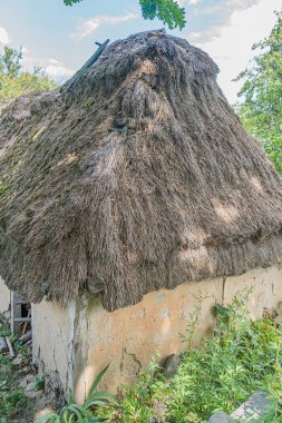 Kadim Orta Avrupa köyü, sazdan çatılı kulübede kavisli sazlıklar, eskimiş ahşap kalaslar, karanlık bacalar ve yosunlu çatı otları, arka planda kırsal veya ormanlardaki ağaçlar, sabahleyin