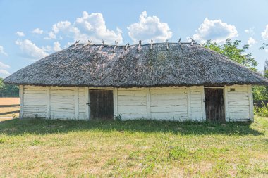 Orta Avrupa 'da ağaç dalları ve çimenler gibi doğal malzemelerden inşa edilmiş, seyrek bitki örtüsü olan bir kırsal alanda küçük pencereli bir kulübe kısmen...