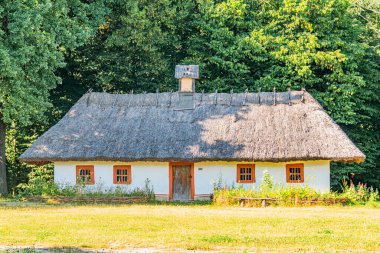 Kırsal Orta Avrupa kır evi, sazdan çatılı, ağaçların arasına kurulmuş, doğal ışıklandırma, kırmızı pencere çerçeveleri ve kapılar, simetrik cephe, gündüz ayarları