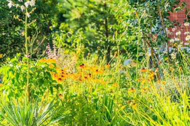 Çeşit çeşit yeşil ve renkli çiçeklerle dolu gür, canlı bir Orta Avrupa bahçesi olan bahçeler, bitki arka planındaki ağaçların düzenlemesiyle kasten bahçıvanlık çalışmaları önerilir.