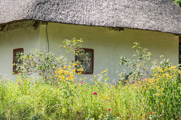 Деревенский дом на соломенной крыше в старинной среднеевропейской деревне, окруженный пышным садом с яркими полевыми цветами Возможно, изображает летнее или раннее осеннее освещение с мягкими тенями Нет