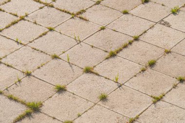 Işıklar ve gölgeler nedeniyle vurgulanmış dokusu ile modern bir şehirde bej ringa kemiği tuğlası kaldırımın yakın görüntüsü