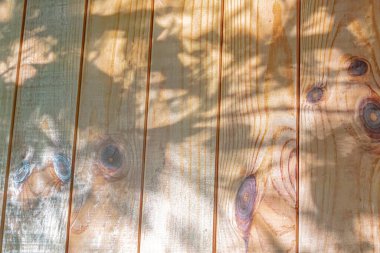 Lekeli ahşap bir güvertenin yakın görüntüsü. Güneş ışığının altında, tepesinde ağaç dalları olan.