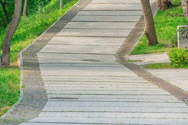Sakin bir şehir parkında, yumuşak gün ışığı ve bulutlu bir gökyüzü altında, canlı ağaçlarla kaplı, dolambaçlı bir tuğla yol.