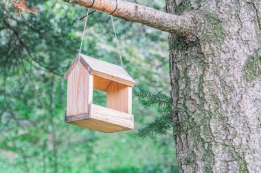 Ağaçlık bir alanda ağaçtan sarkan ahşap kuş evi. Açık renkli, sağlam tasarım. Havalandırma açıkları ve düz çatısı var.