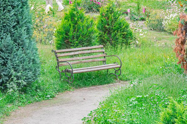 Weathered wooden park bench on a dirt path in a well-tended garden Natural lighting with soft shadows, possibly early morning or late afternoon Realistic style focusing on textures of wood and foli