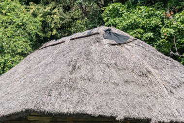 Geleneksel, konik çatılı kulübe, ağaçlar ve yeşilliklerle dolu kırsal bir ortamda doğal malzemelerden yapılmıştır. Sağ alt Dünya 'da pencere girişi yoktur.