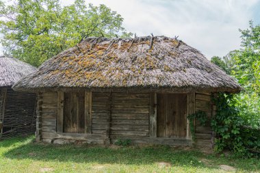 Eski Orta Avrupa ahşap yapısı, yosunlu sazdan çatılı doğal bir ortamda, muhtemelen bir ormanın yakınında, bina koyu lekeli yatay kalaslar ve kısmen açık bir kapı içeriyor.