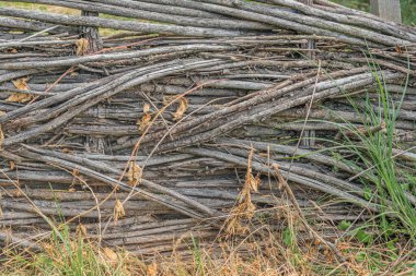 Eski Orta Avrupa köyü sahnesi, eski ahşap çitler yıpranmış dikey kütükler, gri-kahverengi renkler, eğimli kütükler, fazla gelişmiş bitki örtüsü, doğal ışıklandırma, gizli fotoğraflar.
