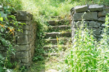 Eski, Orta Avrupa 'nın taştan merdivenleri aşırı büyümüş ve doğal çevre, orman ya da ormanlık alan yeşil, sessiz taş renkler serpiştirilmiş aydınlatma zemin seviyesi perspektifi