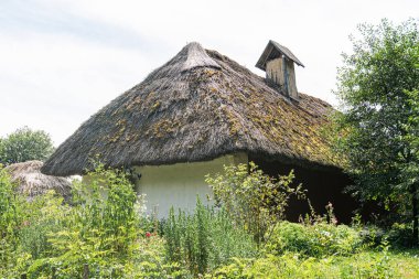 Yeşillik bahçedeki eski sazdan çatı, eski Orta Avrupa köyü, saman çatı, çürümüş veya yaşlanmış beyaz duvarlar, çeşitli yeşillikler, çiçekler, yumuşak dağınık ışıklandırma, sükunet, strai