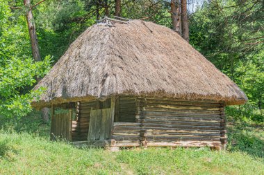Ormanlık Orta Avrupa köyündeki antik kütük kulübe, toprak rengi palet, doğal ışıklandırma, gerçekçi stil, insan varlığı yok.